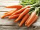 carrot01