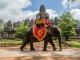 aktiviti tunggang gajah Angkor Wat