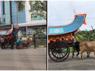 kereta lembu
